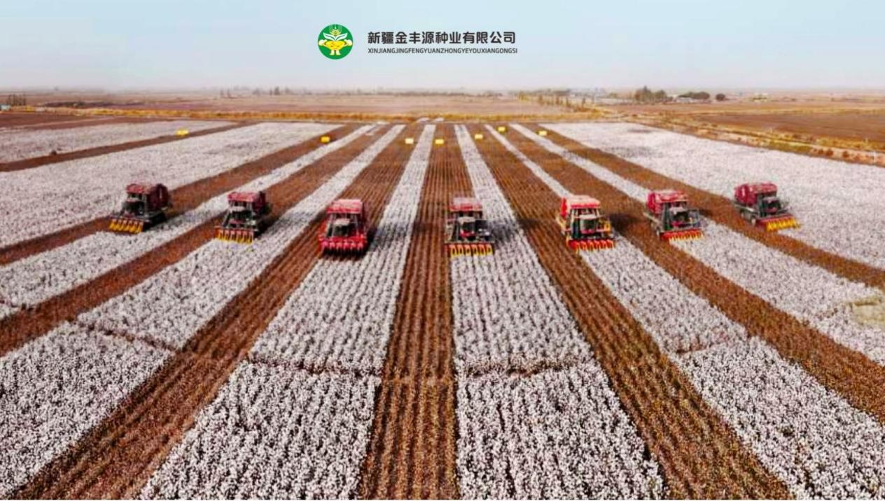 图片10.jpg