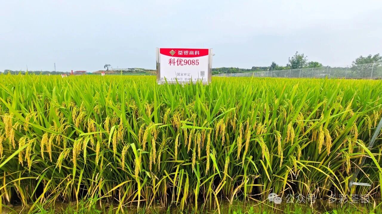 微信图片_20251025084027.jpg 微信图片_20251025084027.jpg