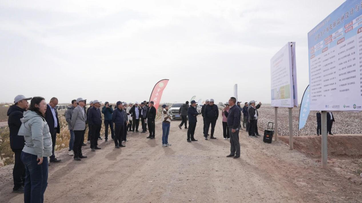 图片6.png 图片6.png