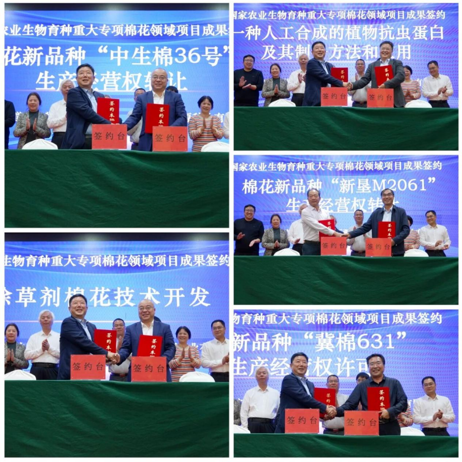 图片5.png 图片5.png