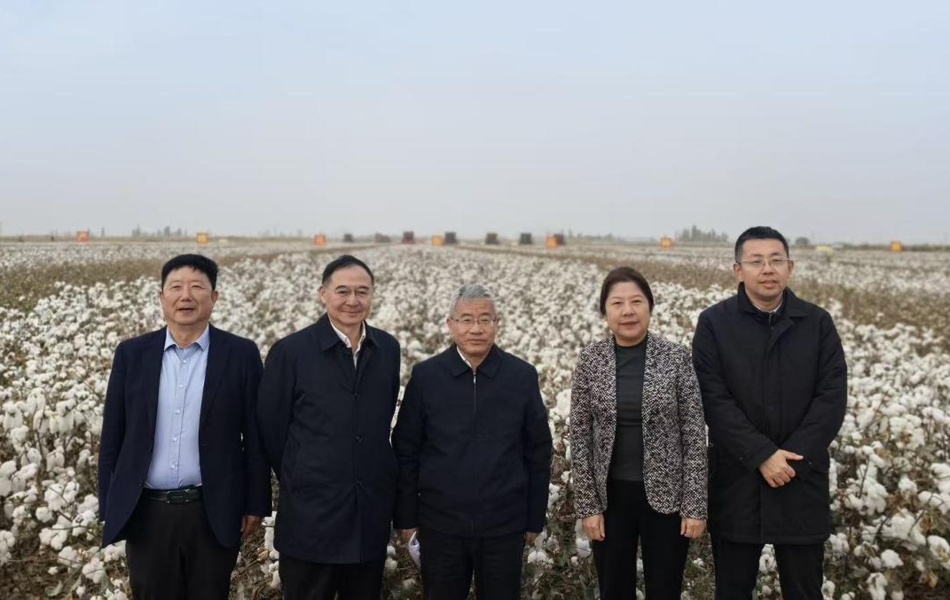 图片7.png 图片7.png