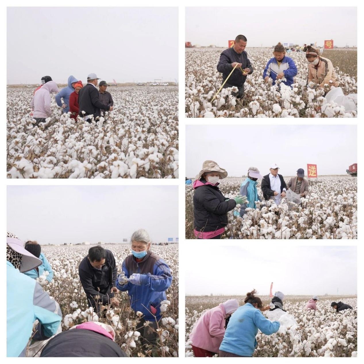 图片9.png 图片9.png