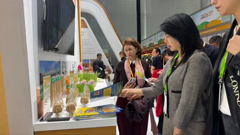 图片2.png 图片2.png