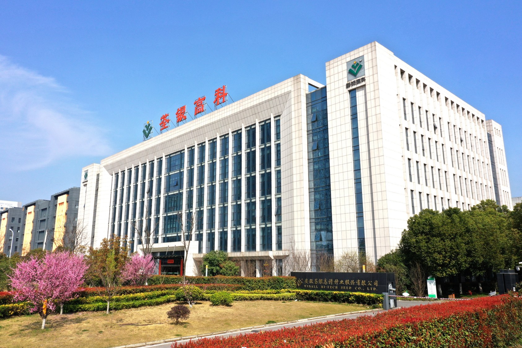 公司大楼2.jpg